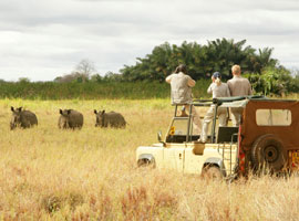 safari kenya